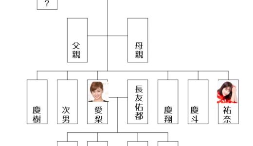 【平家の末裔】平愛梨の家系図がヤバい！実家がヤ〇ザの噂についても徹底調査！