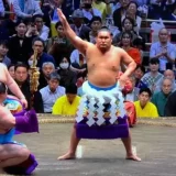 豊昇龍の家系図まとめ！朝青龍との関係や家族構成を解説