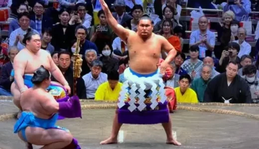 豊昇龍の家系図まとめ！朝青龍との関係や家族構成を解説